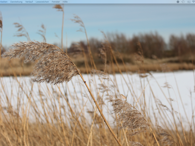 Bild 11 aus  Hof Sassen