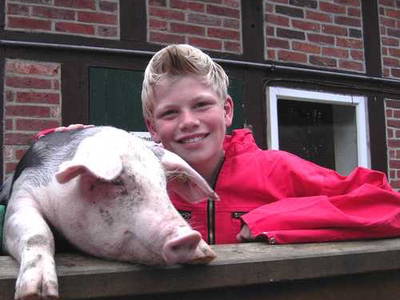 Bild 14 aus  Ferienhof Wroge