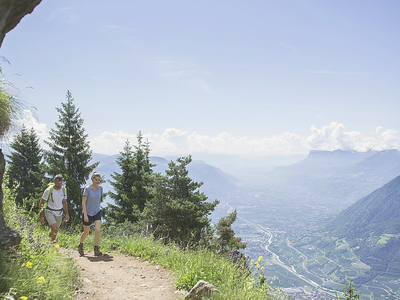 Bild 11 aus  WEINGUT & APARTMENTS WEI TGRUBER    CIN:  IT021051B4HVROK894