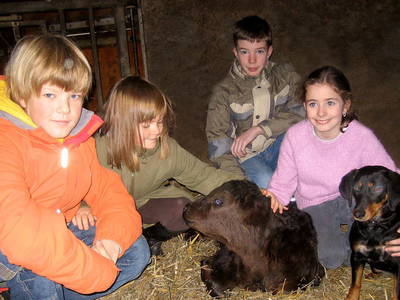 Bild 19 aus  Hanselehof