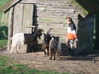 Bild 9 aus  Ulfers Touristik