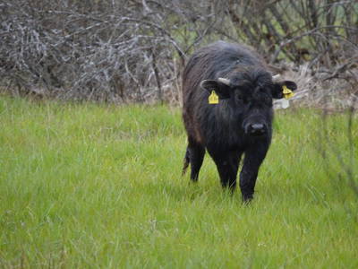 Bild 48 aus  Weidererhof