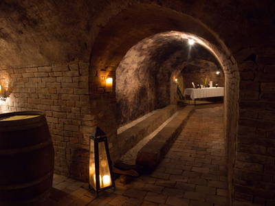 Bild 112 aus  Winzerhof Küssler, Weinviertel