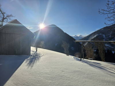 Bild 45 aus  Lögergut