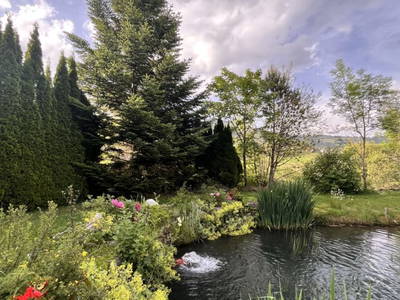 Bild 12 aus  Hütte am Teich