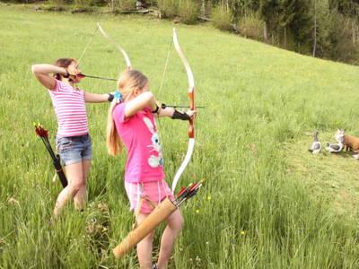 Bild 163 aus Waldpension Ranner