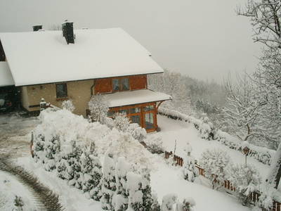 Bild 41 aus  Kollmannbauer