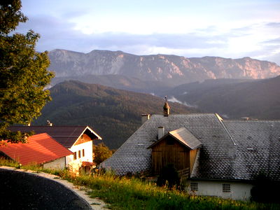 Bild 19 aus Bauernhof Kronsteiner (Zocherl)