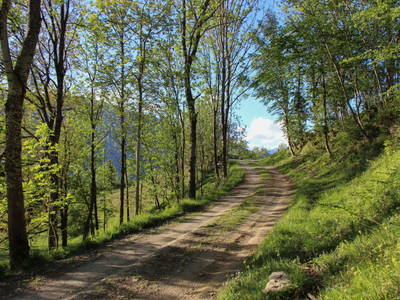 Bild 28 aus  Drautal Alm Schönbuch