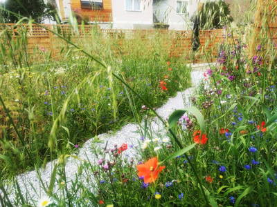 Bild 48 aus  Ferienhaus Lebensfreude