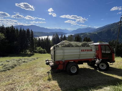 Bild 98 aus  Holzblockhütten am Koflerhof