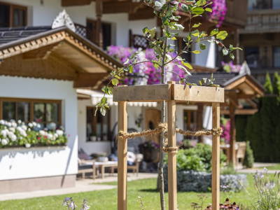 Bild 103 aus  Larchergut