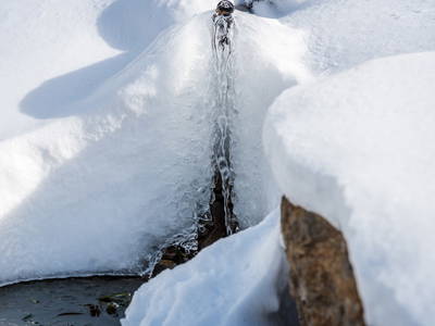 Bild 84 aus  Almchalet Nikola