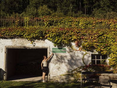 Bild 45 aus  Trattnachtaler Weinhaus