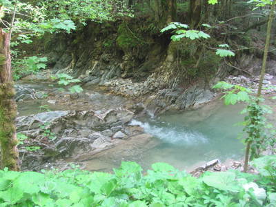 Bild 23 aus  Mostschenke Grablerhof