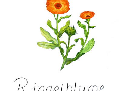 Bild 75 aus  Obermayrgut