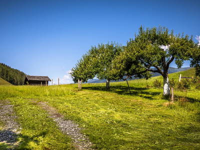 Bild 17 aus  Kaserer