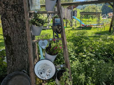 Bild 102 aus   Bachbauer am Attersee