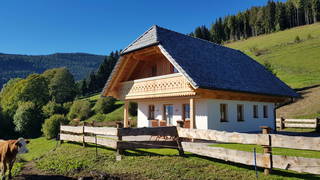 Almhütte Wiedhupf aus St. Peter am Kammersberg