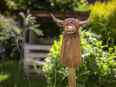 Bild 59 aus  Höllhof