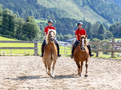 Bild 52 aus  Olachgut