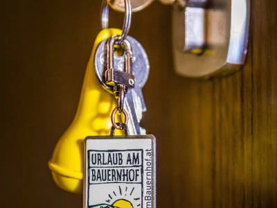 Bild 26 aus  Bauernhof - Leitenhof