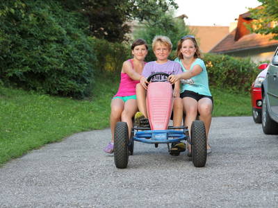 Bild 28 aus  Bauerborchardt - Urlaub am Bauernhof bei Familie Borchardt