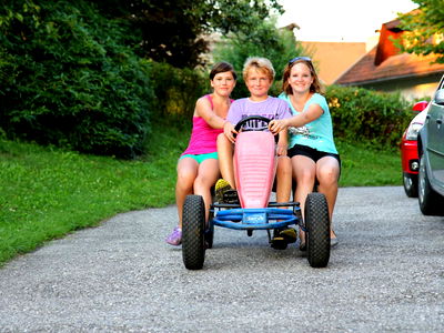 Bild 9 aus Bauerborchardt - Urlaub am Bauernhof bei Familie Borchardt