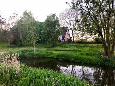 Bild 8 aus  Hof Sand