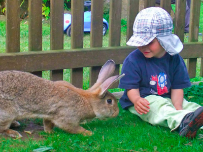 Bild 13 aus  Hof Wahls