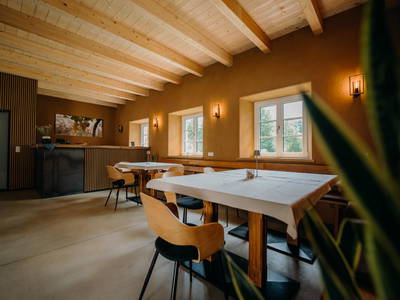 Bild 6 aus  Monschein Weingut Straden