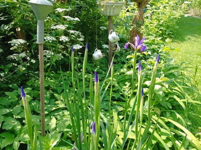 Bild 47 aus  Ferienhaus Weinmeyer 