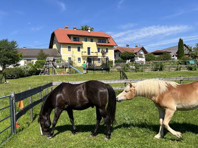 Bild 30 aus  Rutarhof