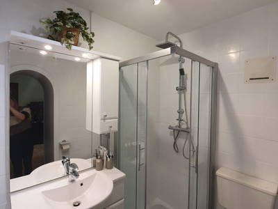 Bild 113 aus  Madritschhof