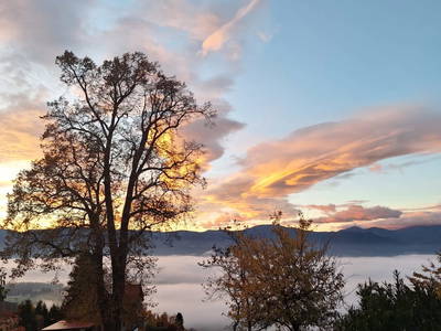 Bild 35 aus   Ferienhaus Hochfelner