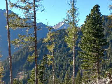 Bild 28 aus  Dorn-Hütte