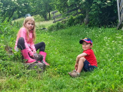 Bild 94 aus  Mortnerhof