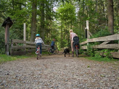 Bild 37 aus  LandSelection Drewes-Hof