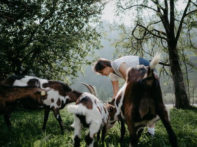 Bild 81 aus  Biobauernhof Aubauer