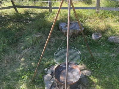 Bild 21 aus  Demobetrieb Bauernhof