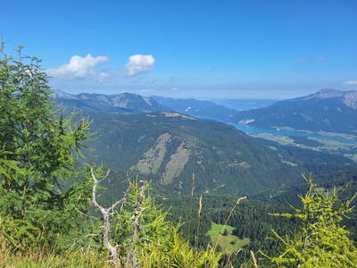 Bild 180 aus  Klinglerbauer