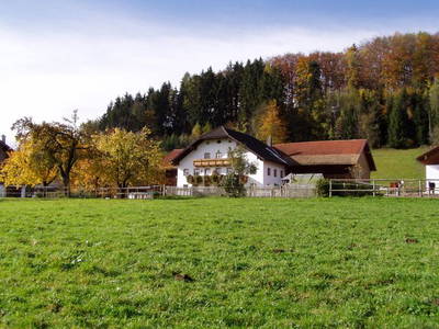 Bild 5 aus  Unterfürberg-Hof