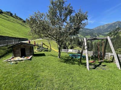 Bild 32 aus  Pfandlinghof