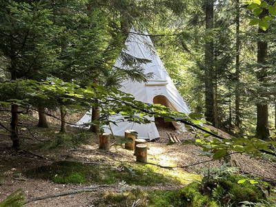 Bild 159 aus  Naturhof Innauer