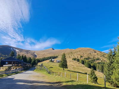 Bild 28 aus  Rotlechner