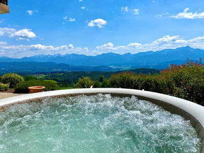 Bild 245 aus  Pleschinhof