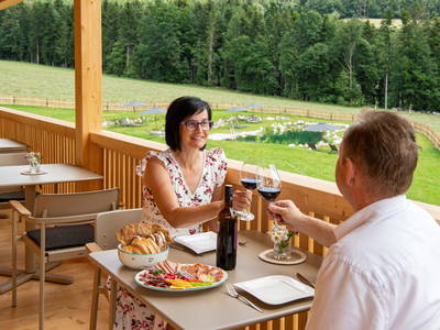 Bild 18 aus  Pircherhof - Adults Only am Biobauernhof