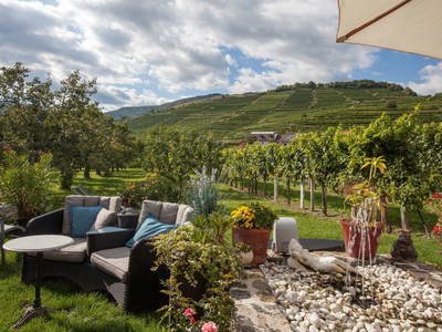 Bild 97 aus  Weingut STRAWANZER Donabaum