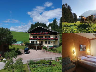 Bild 32 aus  Hoisbauer