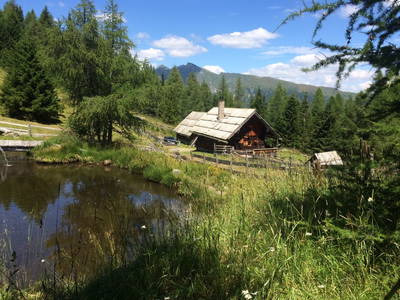 Bild 33 aus  Karlbauerhütte